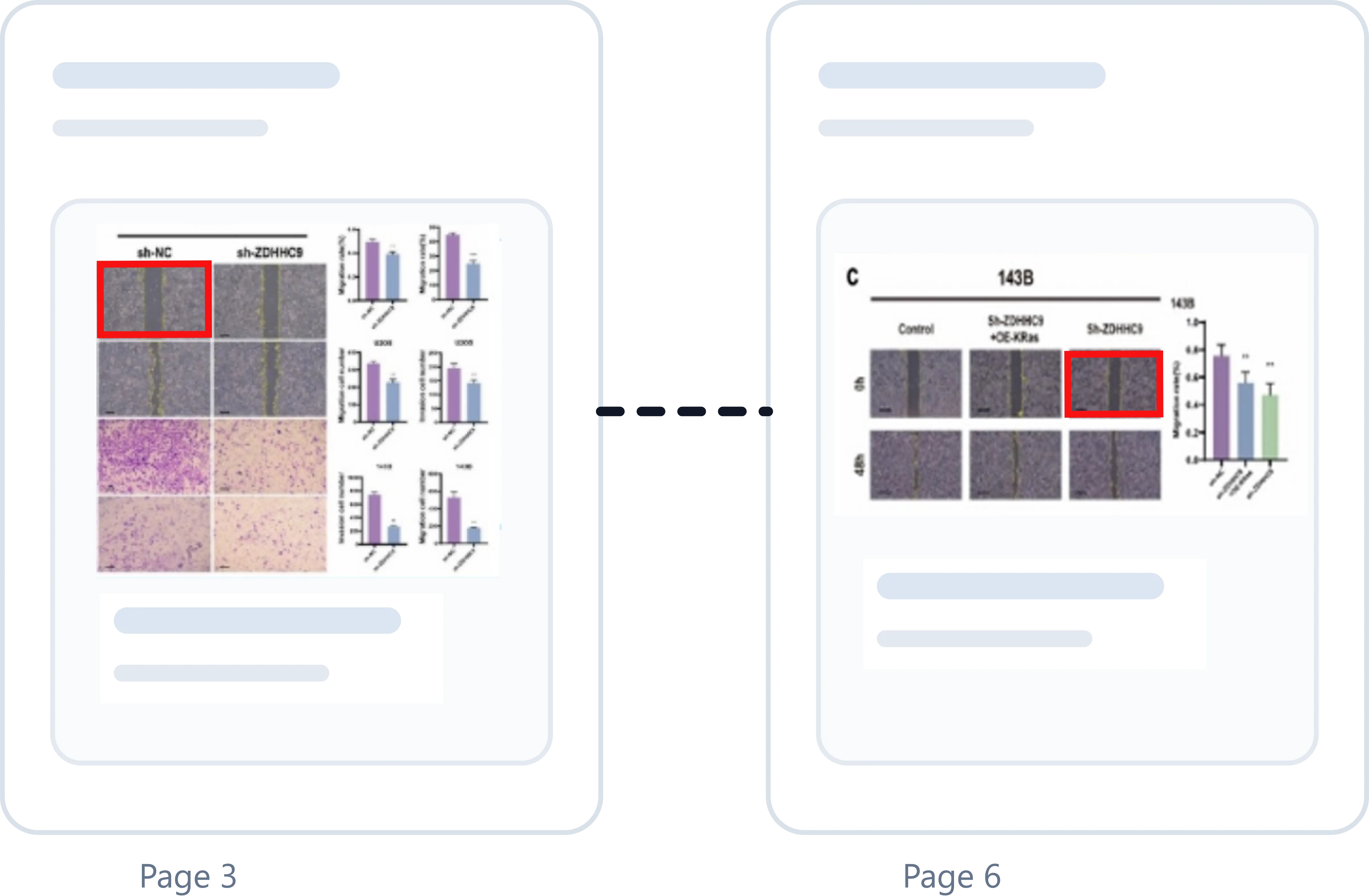 Duplication and reuse detection example