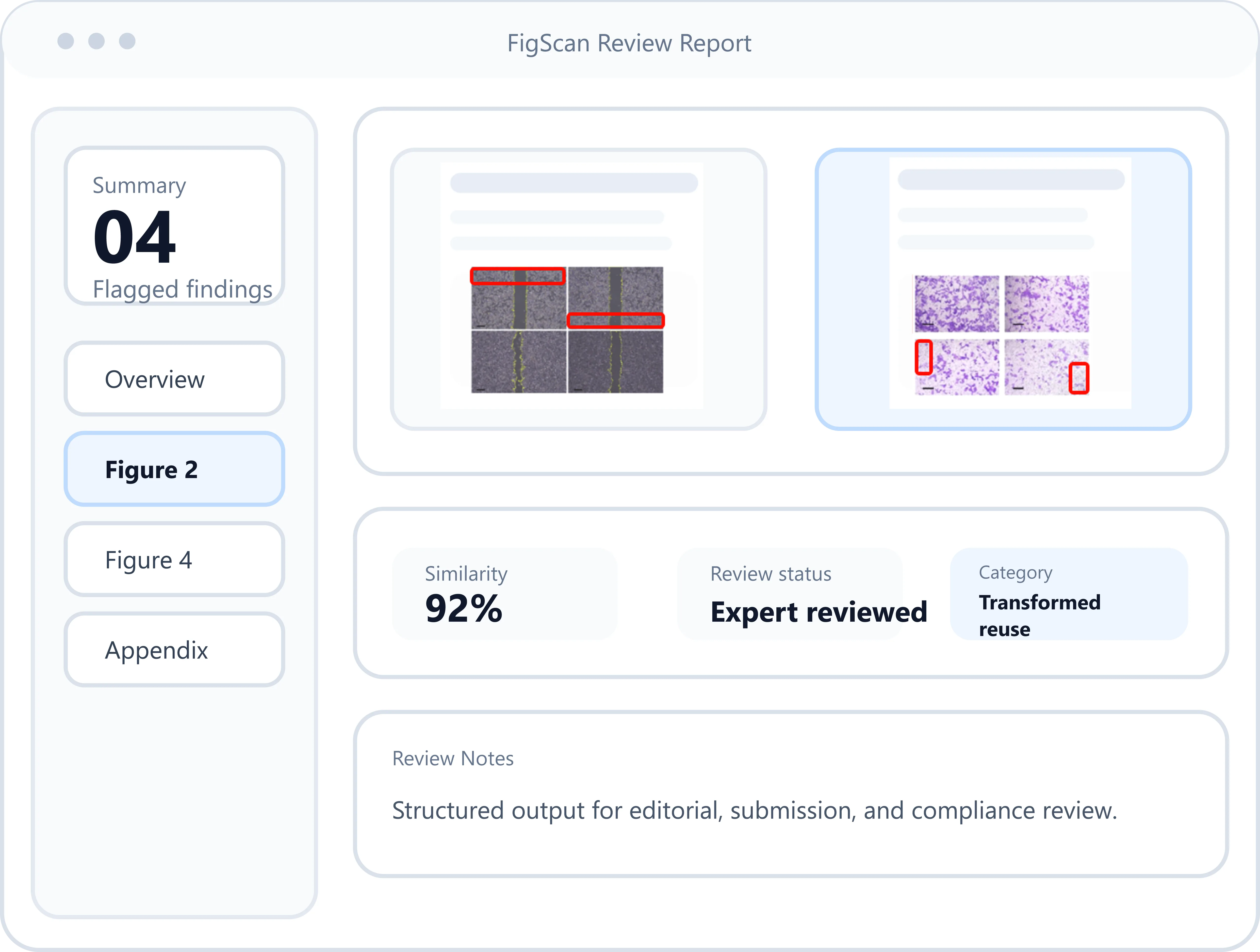 FigScan review report preview